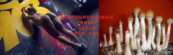 гашик Балабаново