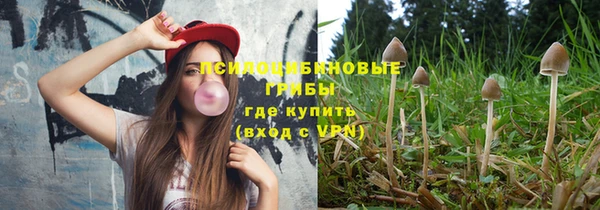 амфетамин Белокуриха